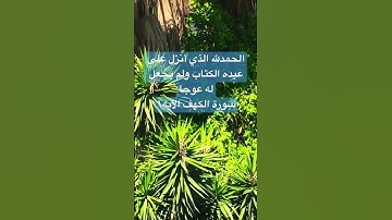 سورة الكهف #جمعة طيبة مباركة#بقلمي فاتن✍🏻🍀
