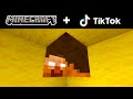 Minecraft Tik Tok Compilation 16
