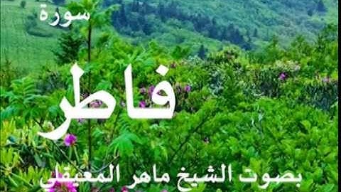 سورة فاطر بصوت الشيخ / ماهر المعيقلي 35
