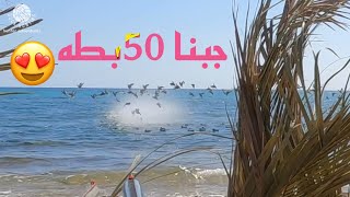 صيد البط اكثر من 50بطه في ظربه وحده