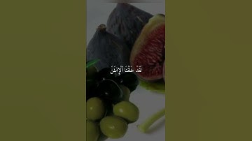 سورة التين