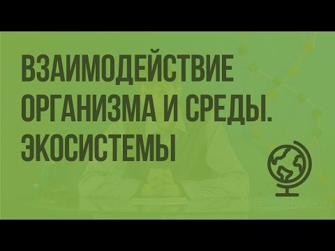 Взаимодействие организма и среды. Экосистемы. Биогеоценозы. Видеоурок по биологии 11 класс