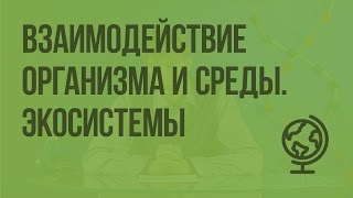 видео Саморазвитие экосистемы