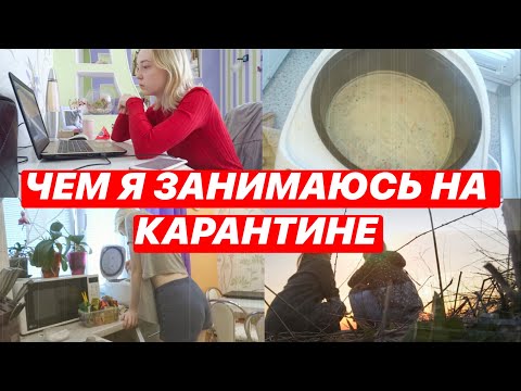 Провожу карантин. Весело проводим карантин. Карантинные мероприятия. Мероприятия при карантине. Мероприятия проводимые при обсервации и карантине.