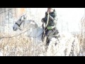 Как приучить лошадь к выстрелам. Лошади Видео 2016 hunting horse