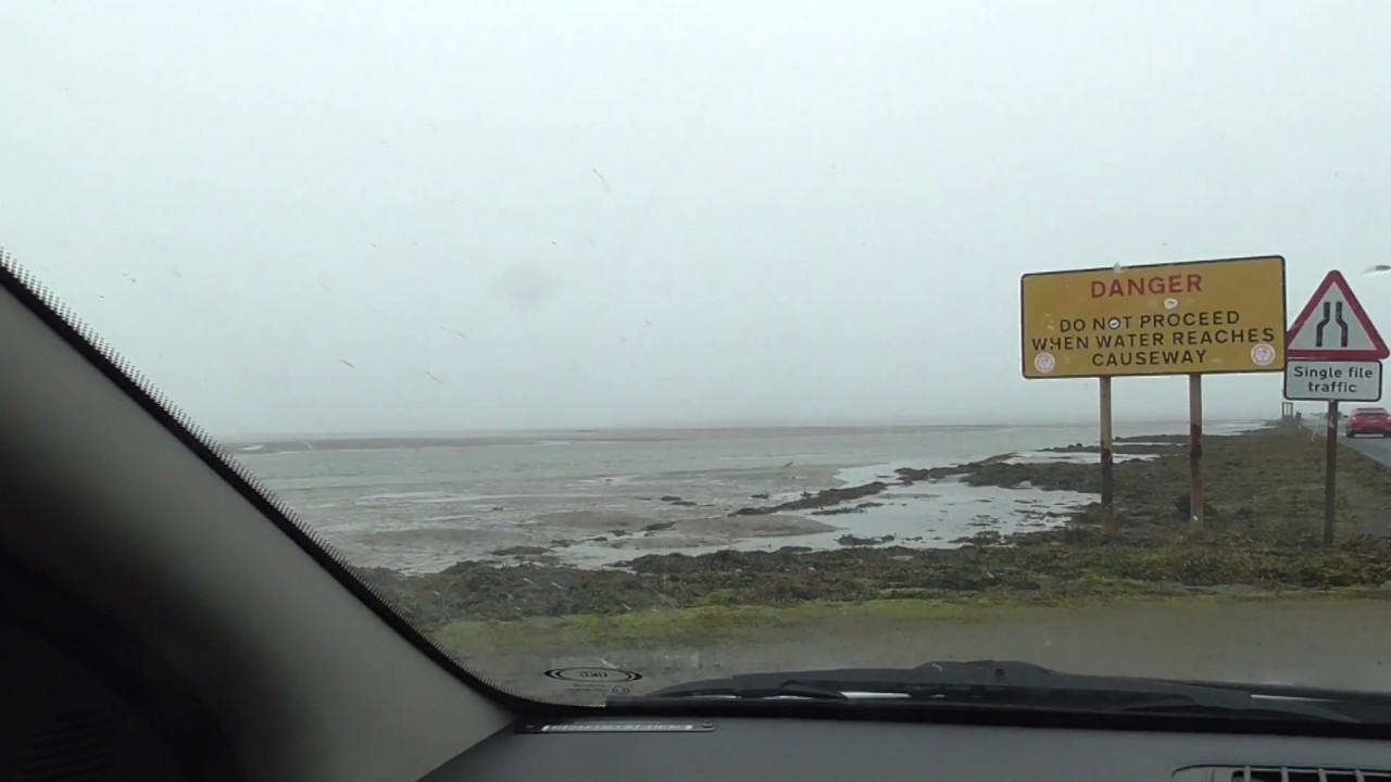 bird nesting , northumberland coast , june 2018