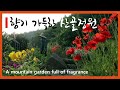 [Sub] 허브수확 / 박하차 / 정원가꾸기 / A mountain garden full of fragrance