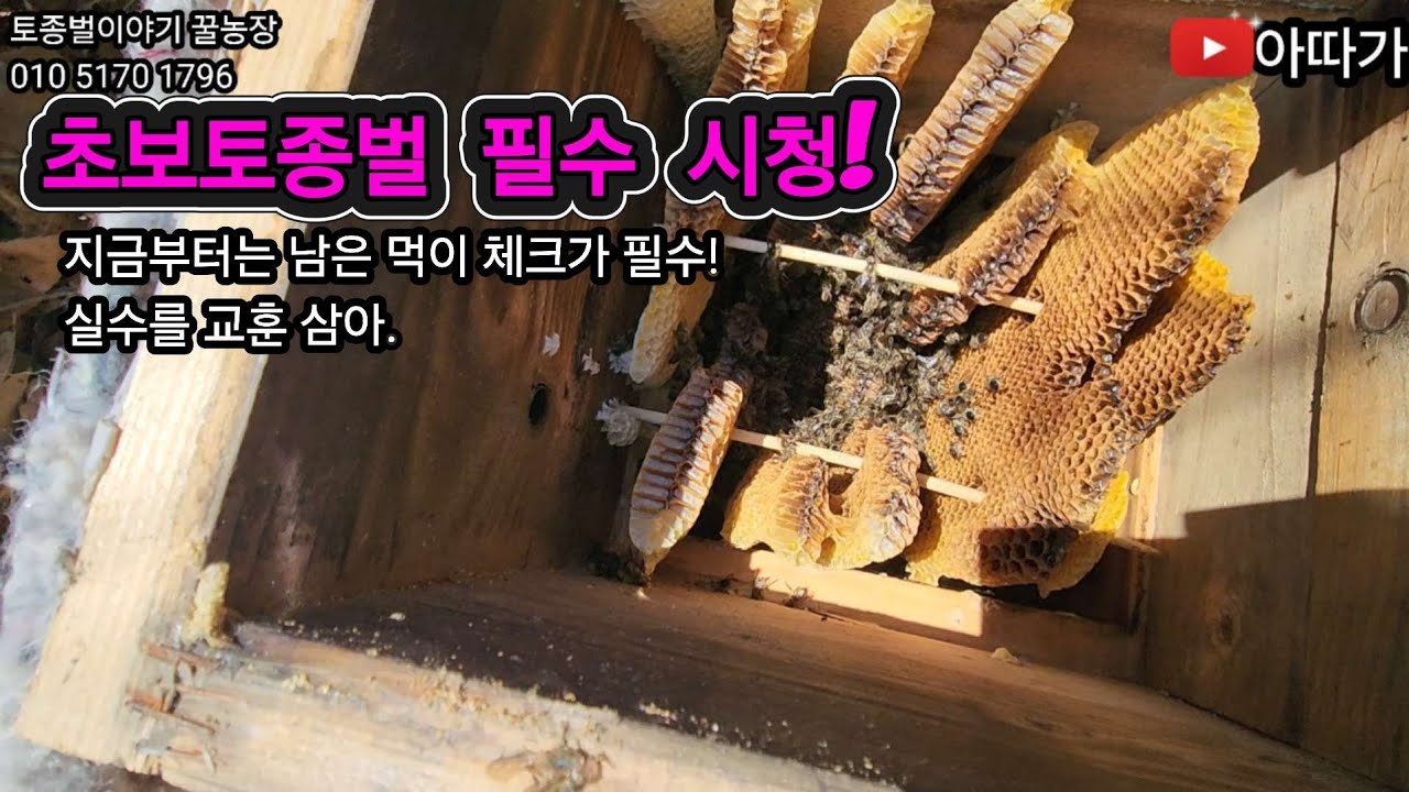 초보토종벌 주목! 지금철  먹이 부족은 전멸! 먹이 보충할 시간! #토종벌 #초보토종벌 #봄벌깨우기 