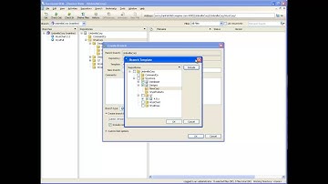 Sparse Branching in Surround SCM