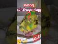 ☹️മൊട്ട വിരിയുന്നില്ലേ❓😍ഇനി വിരിയും 💯🥳#shorts#petparadise#birds#lovebirdsfarming#lovebirds#budgies#