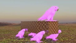 バーバパパ Youtube