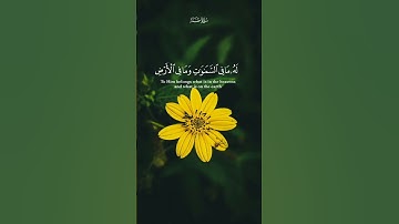 سورة طه.  #quran #قرآن #explore #islam #islamicstatus #islamicvideo #fypシ #islamic #قران_كريم #fyp