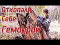 Откопали себе ГЕМОРРОЙ!