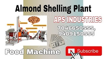 Almond Shelling Plant by APS INDUSTRIES 9409150555