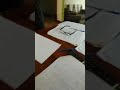 Brains at work