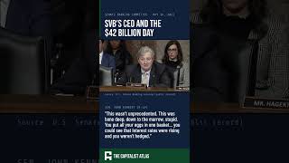 SVB's CEO Blamed Social Media. A Senator Called It Stupid.
