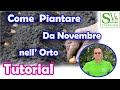 Cosa piantare da Novembre a Marzo nel tuo Orto o Giardino