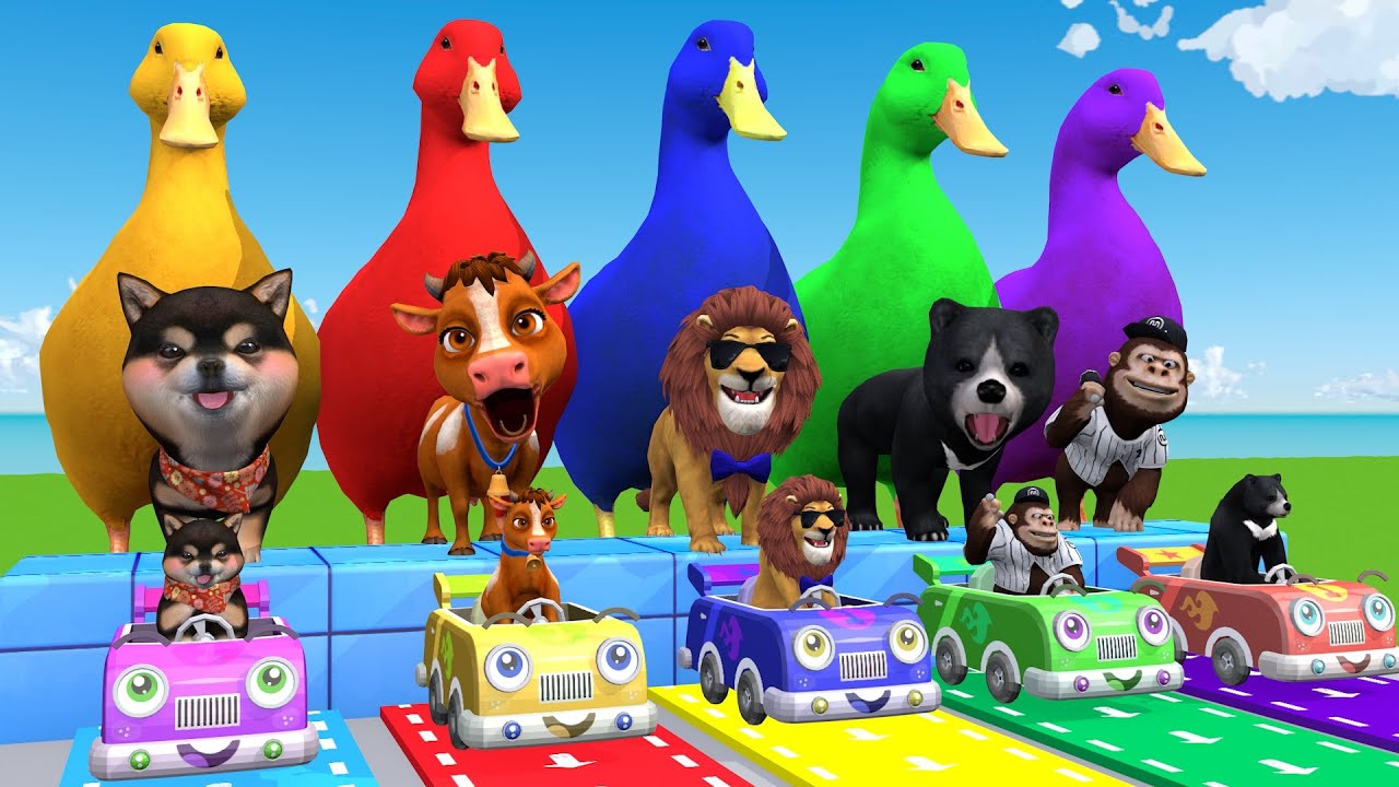 5 Giant Duck Cartoon,Tiger,Cow,Elephant,Husky,Lion Paint Wild Animals Crossing Fountain Animation