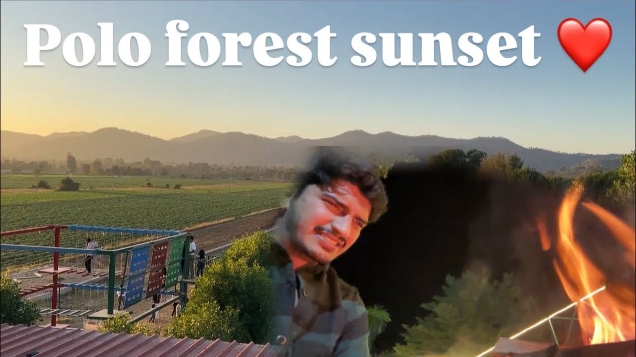 Polo forest sunset 🌅 night view😍❤️🤩