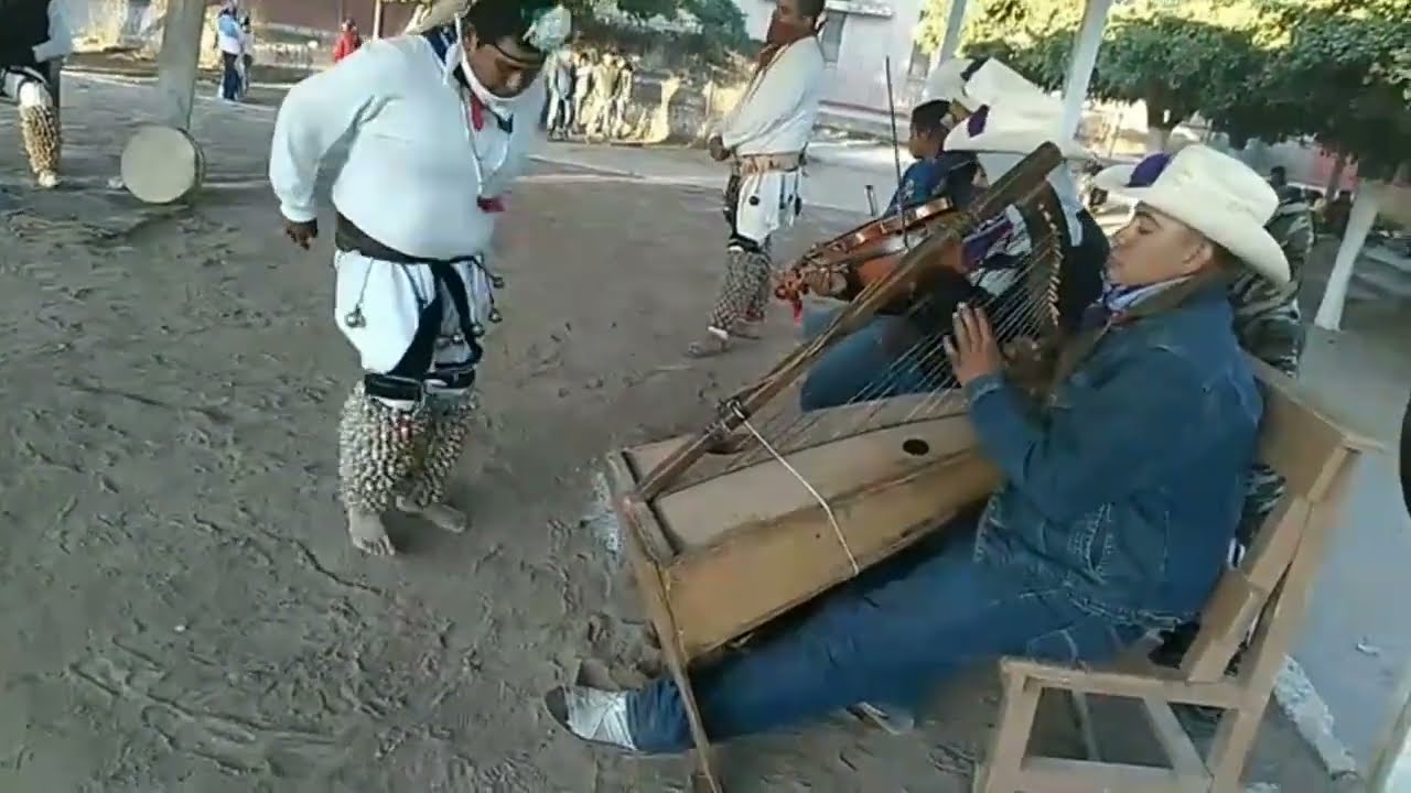 Son De Pascola Yoreme Mayo Pavoreal.