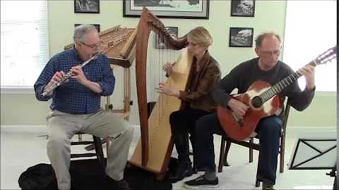 Far Away played by Timothy Seaman, Ann Robinson, and Phil Skeens