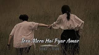 Tera Mera Hai Pyar Amar | slowed Reverb | Lofi Ala | @lofialasong #teramerahaipyaramar