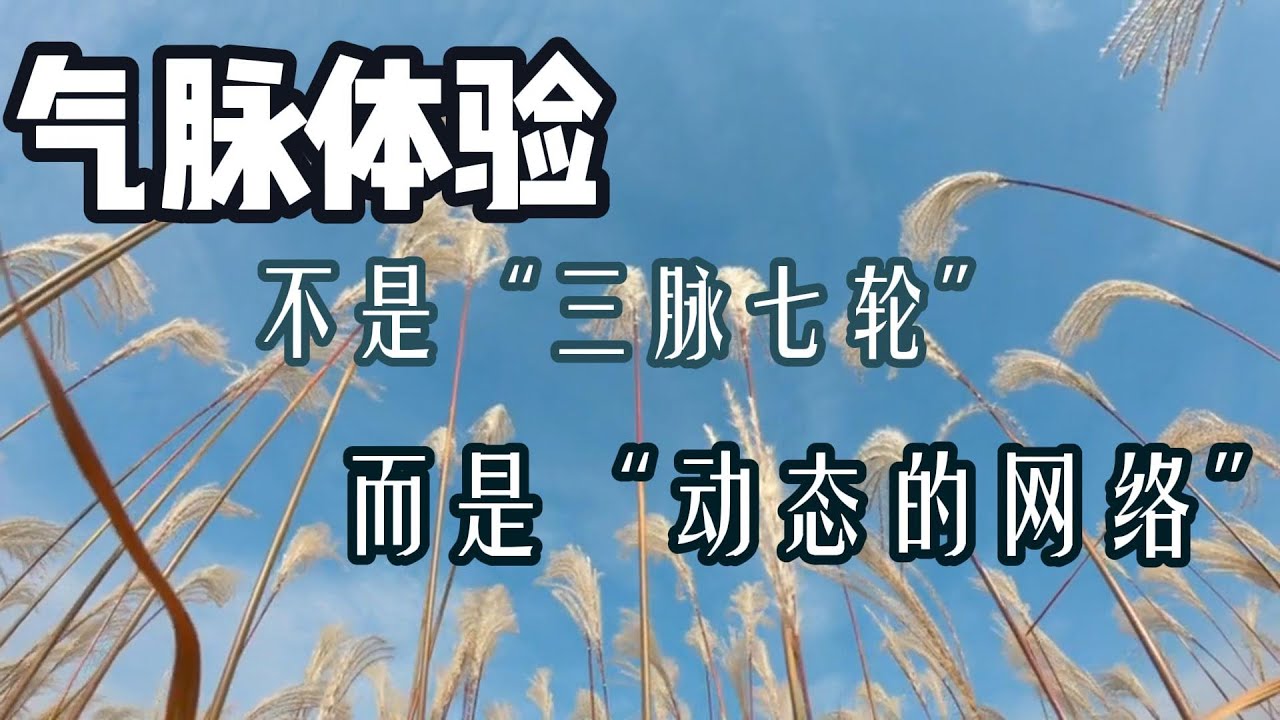 气脉体验——不是“三脉七轮”，而是“动态的网络”