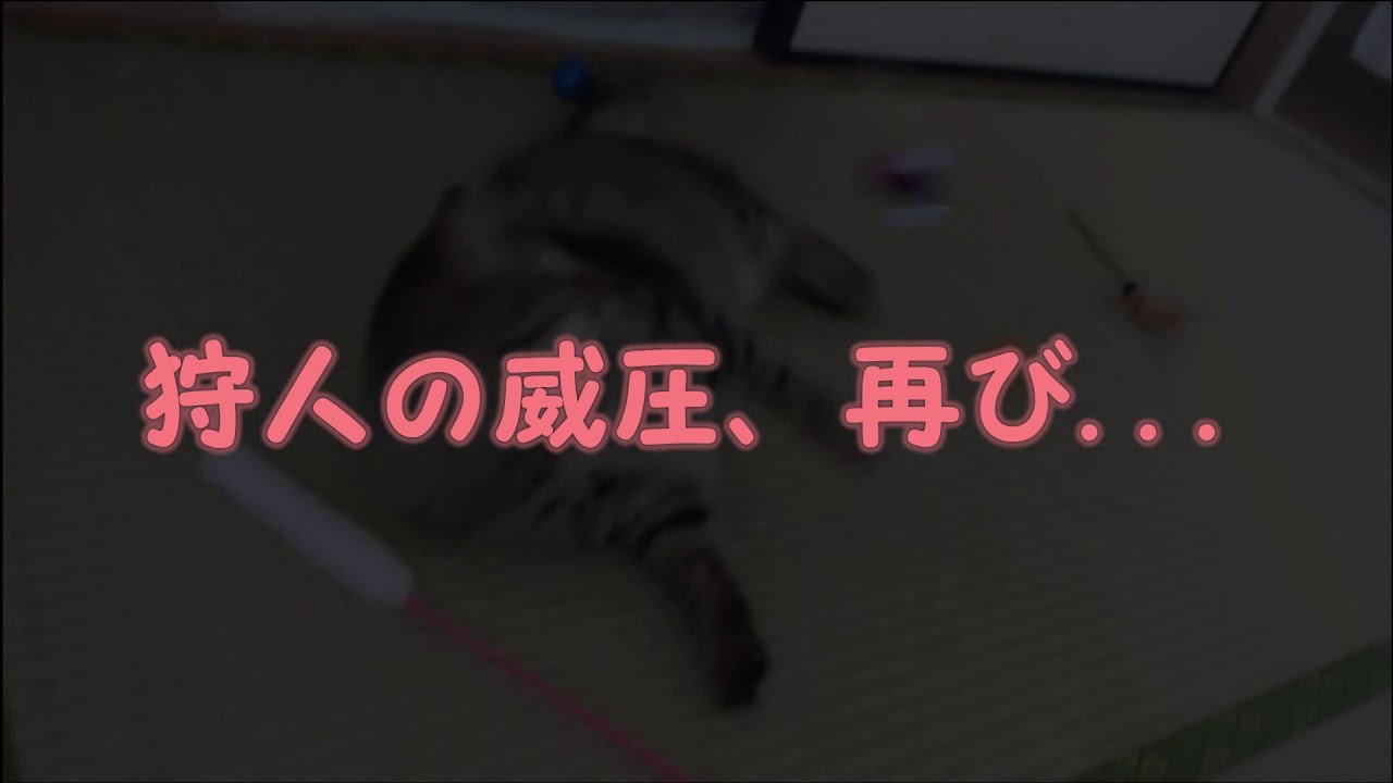 ゆう あい