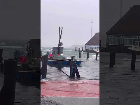 Martha’s Vineyard Winter Storm in Edgartown Harbor vs. what it looks like during the summer!