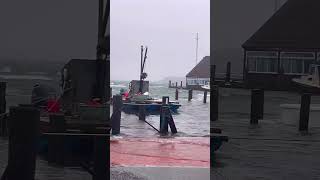 Marthas Vineyard Winter Storm In Edgartown Harbor Vs. What It Looks Like During The Summer