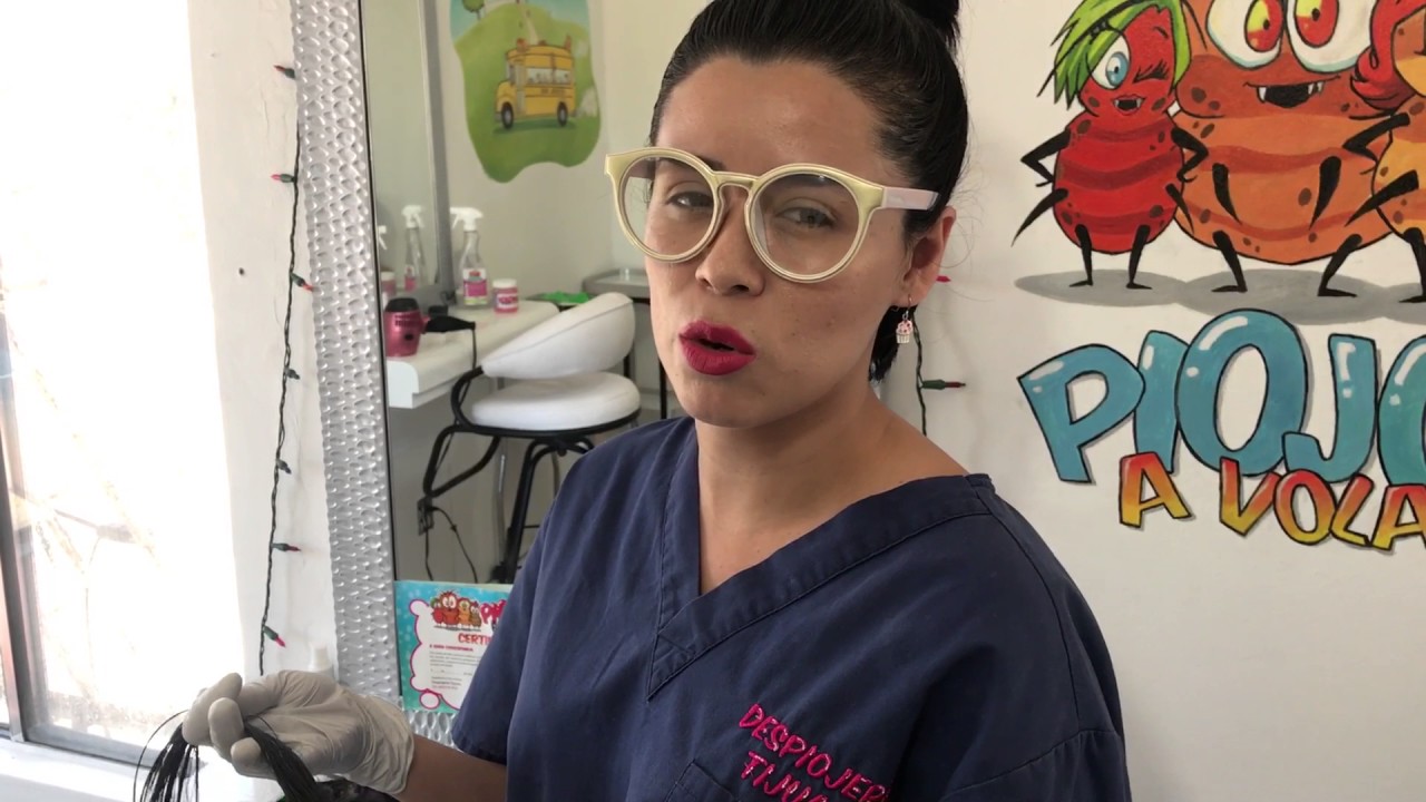 pulgas de mar extencion V 44