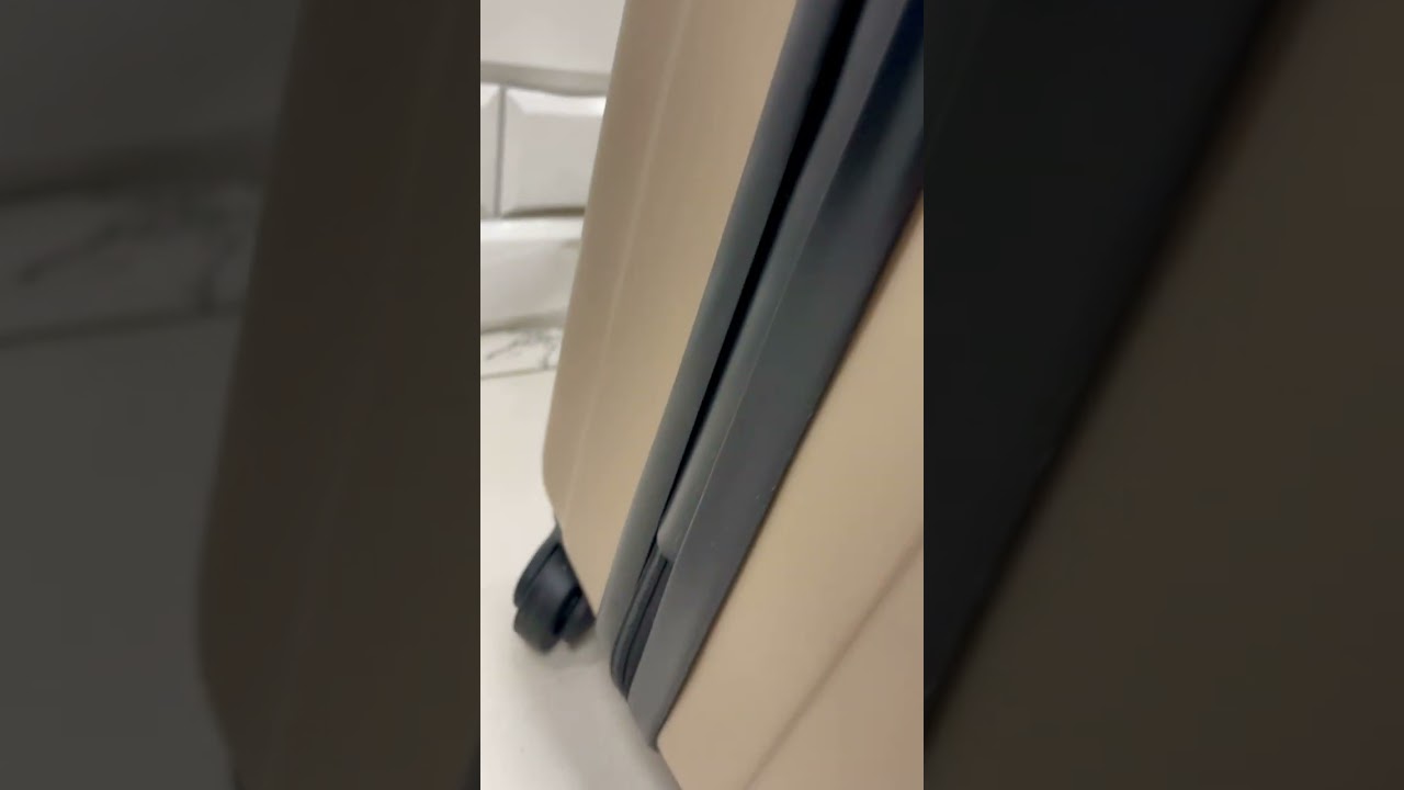 шампань прямые линии longstar