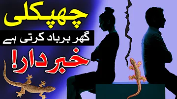 Chipkali Ghar Barbad Karti Hai Khabardar Lizard چھپکلی chipkali ko marna ilm e Jafar Mehrban Ali