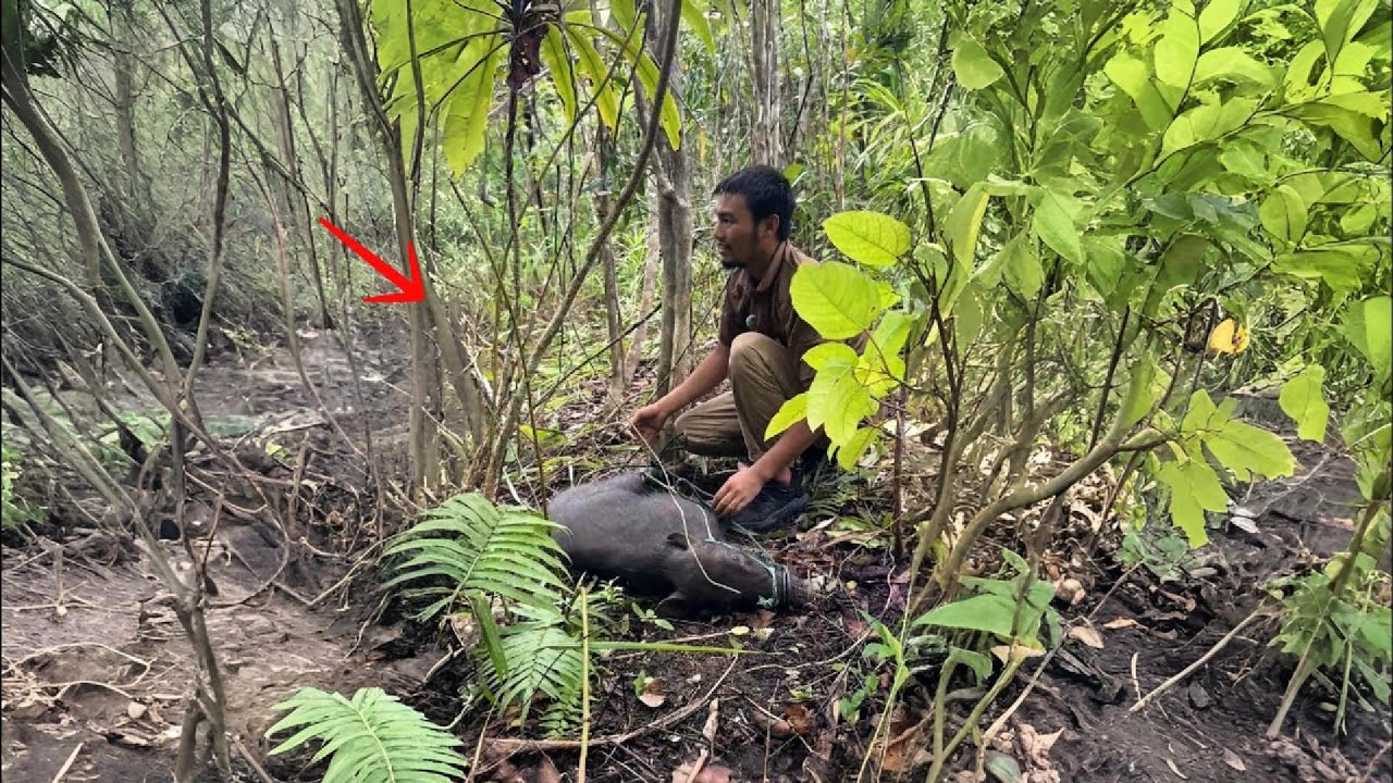 Couples Challenge 30 Days Survival On Aru Island In ...