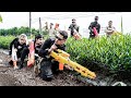 LTT Game Nerf War : Warriors SEAL X Nerf Guns Fight Crime Mr Close Crazy Hunt Down Hidden Criminals