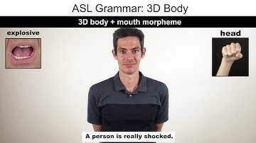 ASL Grammar: 3D Body