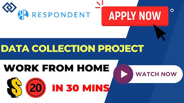 Data Collection Project | Respondent | Freelance Project Based Work | WFH