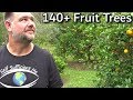 EVERY Fruit Tree We're Growing Full Garden Tour