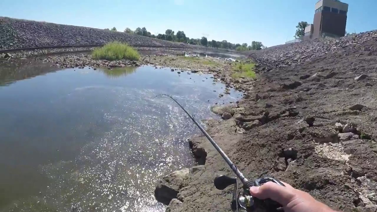 Topwater Tiger Muskie Alum Creek Dam YouTube