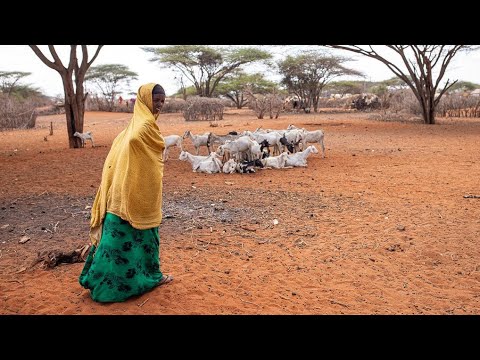 LUNG WECHA MVUA HAZINYESHI MPIMBWE 