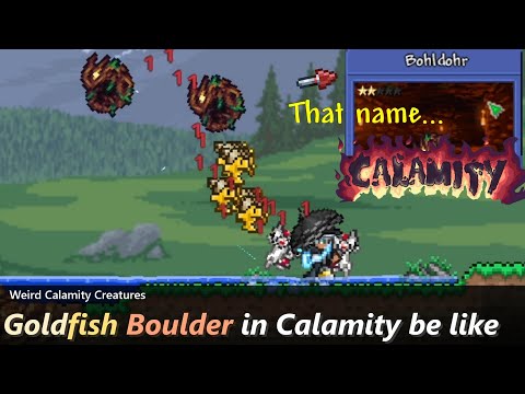 This happens if you put Boulder Enemy in Terraria Calamity mod ─ Weird creatures in Calamity