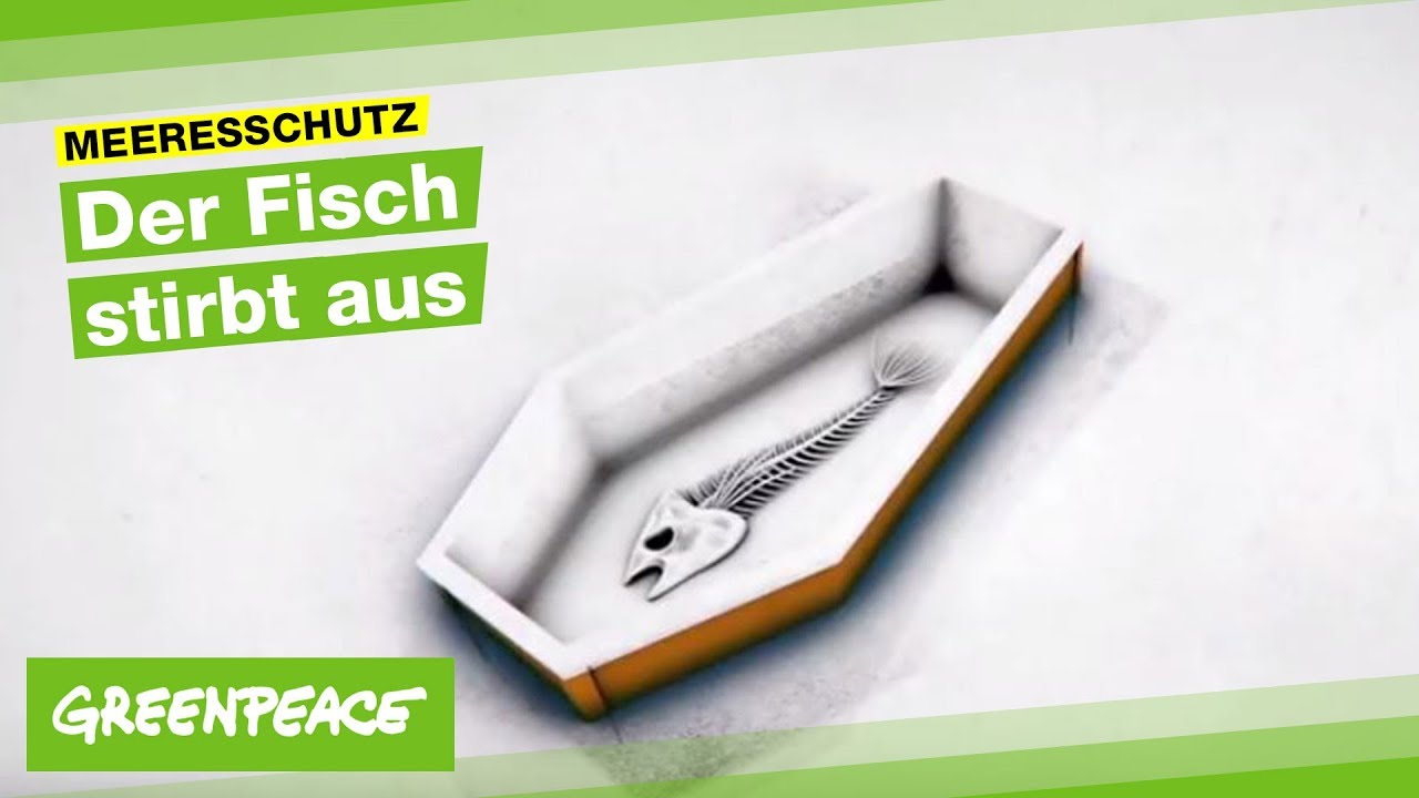 Fischerei in Europa (Animation)