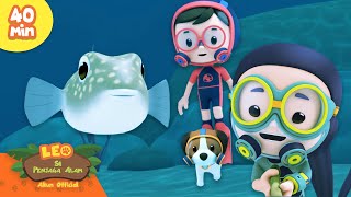 Ikan Buntal Ini Jenius dalam Membangun! 🐡 | Hewan Cerdas | Leo Si Penjaga Alam | Kartun Anak