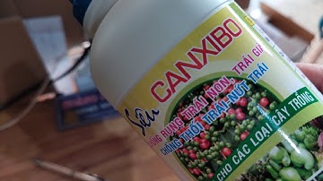 siêu canxi Bo chống rụng trái non trái già chống thối nứt trái tăng độ ngọt trái 023 233