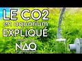 Expliquer le CO2 en aquarium, pour réussir votre aquascape.