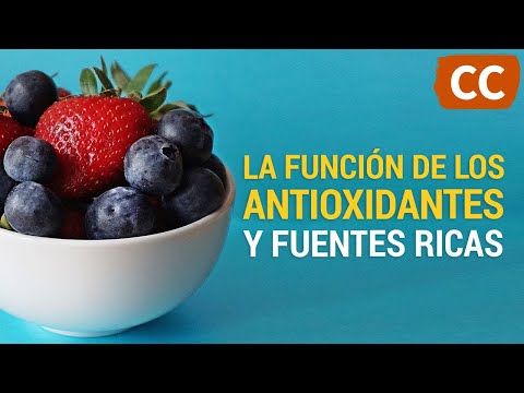 Ciencia de la Comida