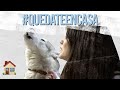 AULLANDO con mi HUSKY SIBERIANO 🌒🐺 || #vlog