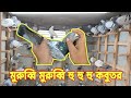 মুরুব্বি মুরুব্বি হু হু হু জাতের রেজাল্ট করা কবুতর বিক্রি করা হবে 😜😜
