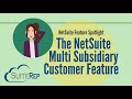 The NetSuite Multi Subsidiary Customer Feature