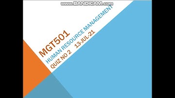 Mgt501 Human Resource Management Quiz No 2